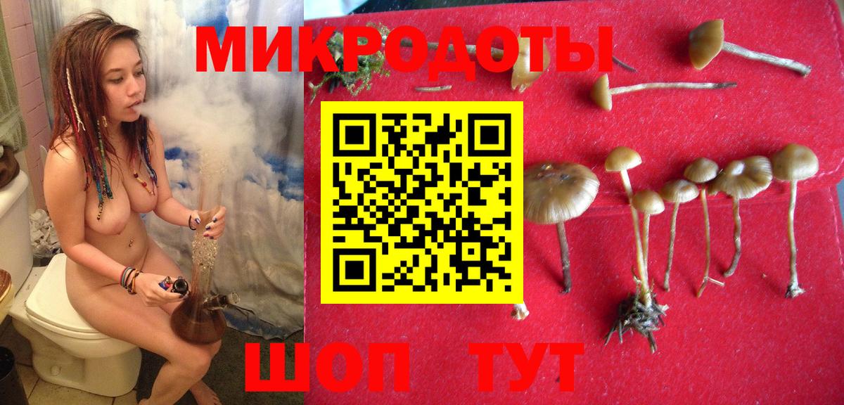 Ачинск  Галлюциногенные грибы мицелий  Вход с VPN  Псилоцибиновые грибы Magic Shrooms 