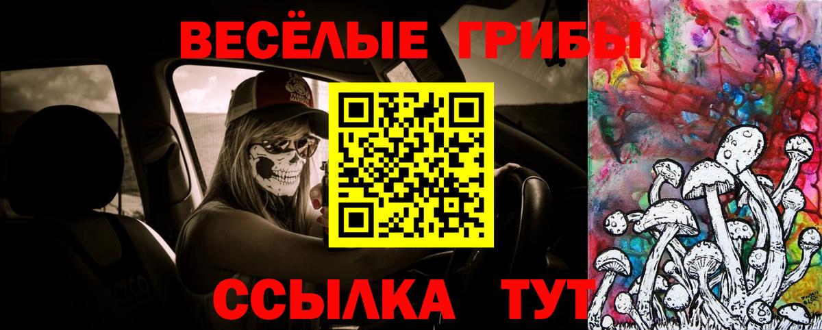 Псилоцибиновые грибы Cubensis Ачинск